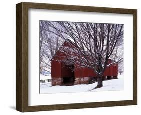 Barn and Maple after winter storm, Fairfax County, Virginia, USA-Charles Gurche-Framed Photographic Print