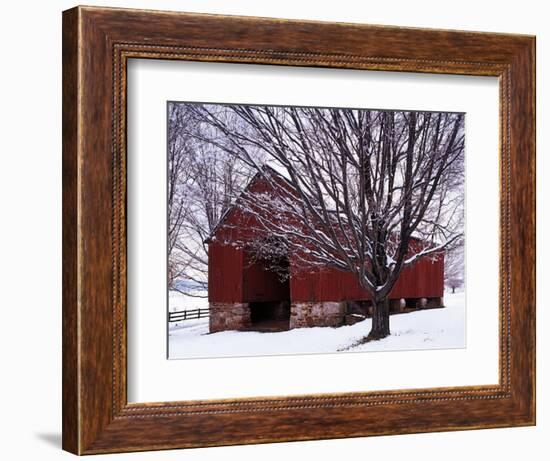 Barn and Maple after winter storm, Fairfax County, Virginia, USA-Charles Gurche-Framed Photographic Print