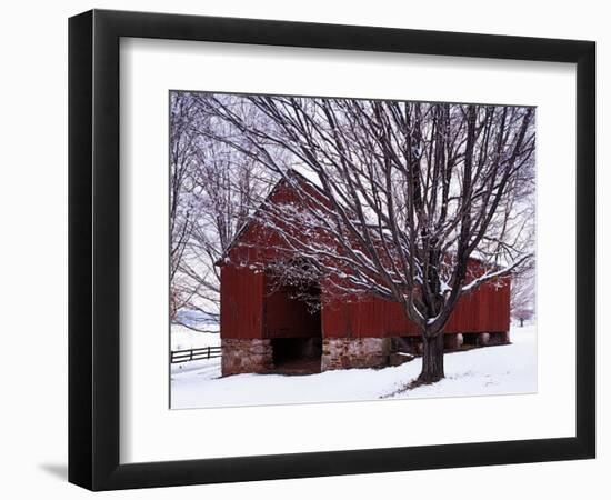 Barn and Maple after winter storm, Fairfax County, Virginia, USA-Charles Gurche-Framed Photographic Print