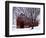 Barn and Maple after winter storm, Fairfax County, Virginia, USA-Charles Gurche-Framed Photographic Print