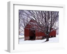 Barn and Maple after winter storm, Fairfax County, Virginia, USA-Charles Gurche-Framed Photographic Print