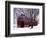 Barn and Maple after winter storm, Fairfax County, Virginia, USA-Charles Gurche-Framed Photographic Print