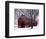 Barn and Maple after winter storm, Fairfax County, Virginia, USA-Charles Gurche-Framed Photographic Print