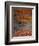 Barn and Maple Tree in Autumn, Vermont, USA-Scott T. Smith-Framed Photographic Print