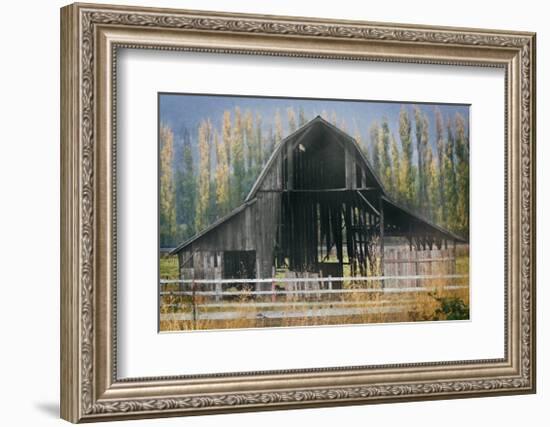 Barn and Poplars-David Winston-Framed Giclee Print