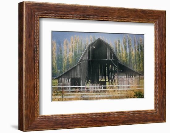 Barn and Poplars-David Winston-Framed Giclee Print