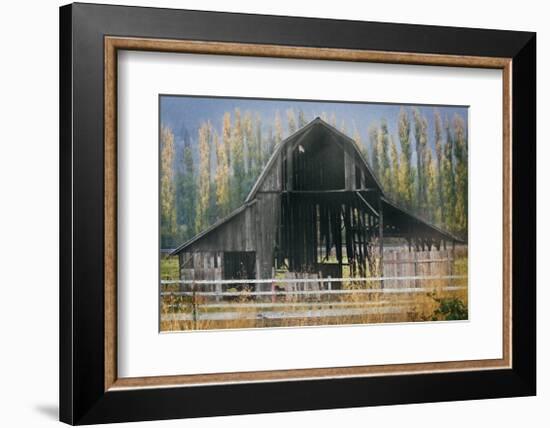 Barn and Poplars-David Winston-Framed Giclee Print