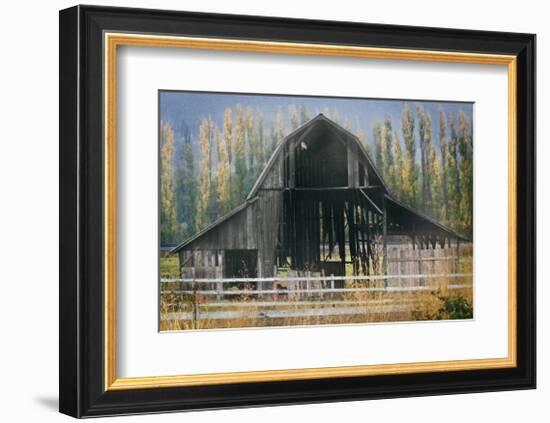 Barn and Poplars-David Winston-Framed Giclee Print