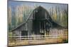 Barn and Poplars-David Winston-Mounted Giclee Print