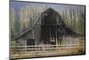 Barn and Poplars-David Lorenz Winston-Mounted Art Print