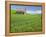 Barn and Vehicle Tracks in Wheat Field in Idaho-Darrell Gulin-Framed Premier Image Canvas