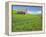 Barn and Vehicle Tracks in Wheat Field in Idaho-Darrell Gulin-Framed Premier Image Canvas