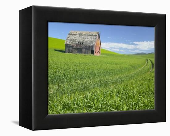 Barn and Vehicle Tracks in Wheat Field in Idaho-Darrell Gulin-Framed Premier Image Canvas