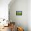 Barn and Vehicle Tracks in Wheat Field in Idaho-Darrell Gulin-Framed Premier Image Canvas displayed on a wall