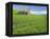 Barn and Vehicle Tracks in Wheat Field in Idaho-Darrell Gulin-Framed Premier Image Canvas