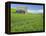 Barn and Vehicle Tracks in Wheat Field in Idaho-Darrell Gulin-Framed Premier Image Canvas