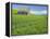 Barn and Vehicle Tracks in Wheat Field in Idaho-Darrell Gulin-Framed Premier Image Canvas