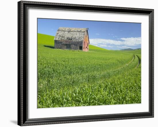 Barn and Vehicle Tracks in Wheat Field in Idaho-Darrell Gulin-Framed Photographic Print