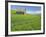 Barn and Vehicle Tracks in Wheat Field in Idaho-Darrell Gulin-Framed Photographic Print