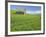 Barn and Vehicle Tracks in Wheat Field in Idaho-Darrell Gulin-Framed Photographic Print