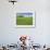 Barn and Vehicle Tracks in Wheat Field in Idaho-Darrell Gulin-Framed Photographic Print displayed on a wall