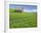 Barn and Vehicle Tracks in Wheat Field in Idaho-Darrell Gulin-Framed Photographic Print