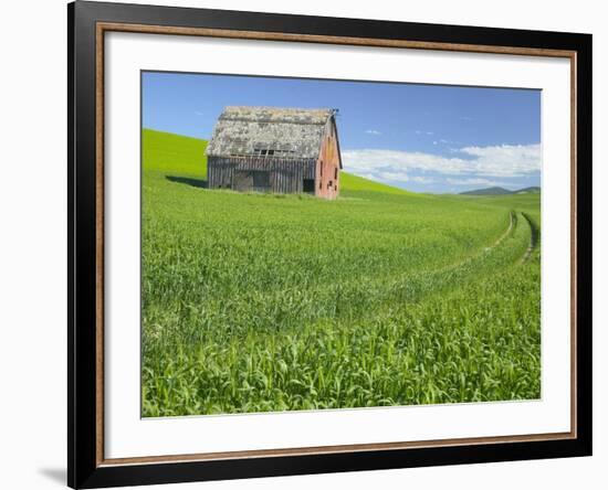 Barn and Vehicle Tracks in Wheat Field in Idaho-Darrell Gulin-Framed Photographic Print