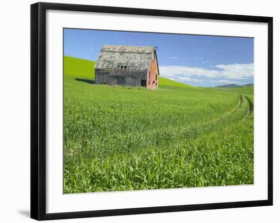 Barn and Vehicle Tracks in Wheat Field in Idaho-Darrell Gulin-Framed Photographic Print
