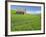 Barn and Vehicle Tracks in Wheat Field in Idaho-Darrell Gulin-Framed Photographic Print