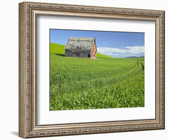 Barn and Vehicle Tracks in Wheat Field in Idaho-Darrell Gulin-Framed Photographic Print