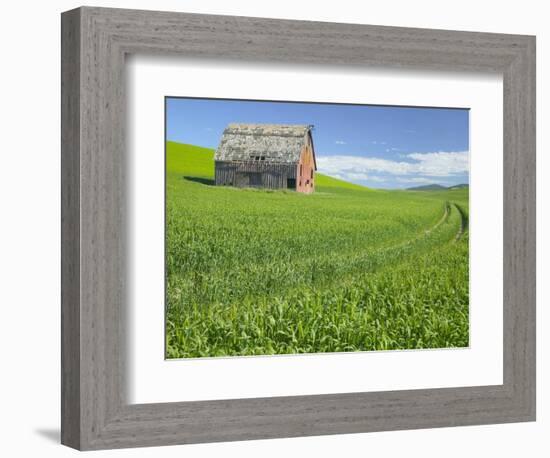 Barn and Vehicle Tracks in Wheat Field in Idaho-Darrell Gulin-Framed Photographic Print