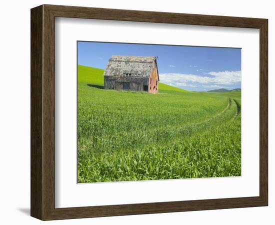 Barn and Vehicle Tracks in Wheat Field in Idaho-Darrell Gulin-Framed Photographic Print