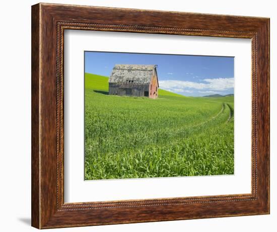 Barn and Vehicle Tracks in Wheat Field in Idaho-Darrell Gulin-Framed Photographic Print