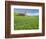 Barn and Vehicle Tracks in Wheat Field in Idaho-Darrell Gulin-Framed Photographic Print