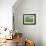 Barn and Vehicle Tracks in Wheat Field in Idaho-Darrell Gulin-Framed Photographic Print displayed on a wall