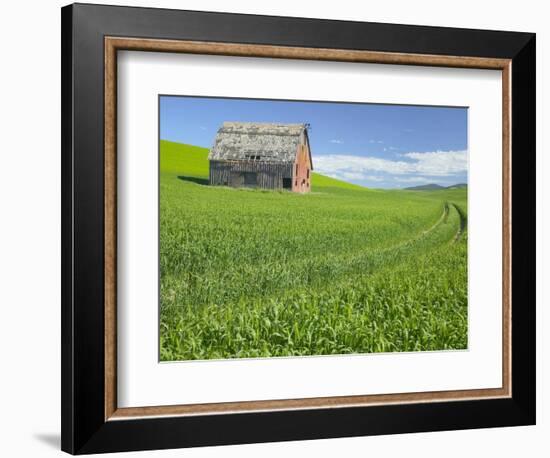 Barn and Vehicle Tracks in Wheat Field in Idaho-Darrell Gulin-Framed Photographic Print