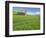 Barn and Vehicle Tracks in Wheat Field in Idaho-Darrell Gulin-Framed Photographic Print