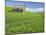 Barn and Vehicle Tracks in Wheat Field in Idaho-Darrell Gulin-Mounted Photographic Print