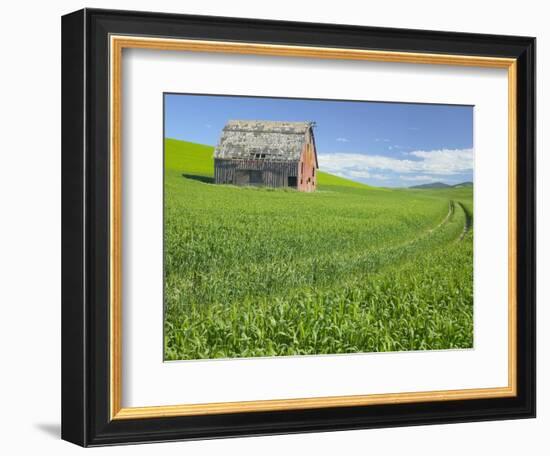 Barn and Vehicle Tracks in Wheat Field in Idaho-Darrell Gulin-Framed Photographic Print