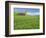 Barn and Vehicle Tracks in Wheat Field in Idaho-Darrell Gulin-Framed Photographic Print