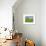 Barn and Vehicle Tracks in Wheat Field in Idaho-Darrell Gulin-Framed Photographic Print displayed on a wall