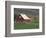 Barn and Windmill in Colfax, Palouse Region, Washington, USA-Adam Jones-Framed Photographic Print