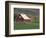 Barn and Windmill in Colfax, Palouse Region, Washington, USA-Adam Jones-Framed Photographic Print