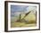 Barn at Cherington, Gloucestershire-William Rothenstein-Framed Giclee Print