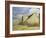 Barn at Cherington, Gloucestershire-William Rothenstein-Framed Giclee Print