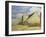 Barn at Cherington, Gloucestershire-William Rothenstein-Framed Giclee Print