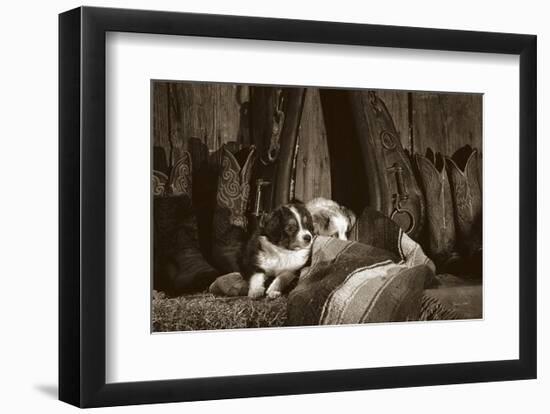 Barn Buddies-Barry Hart-Framed Art Print