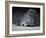 Barn, Dothan Alabama-Carol Highsmith-Framed Photo