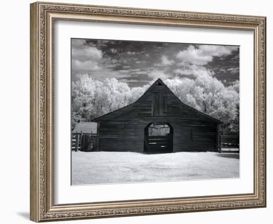 Barn, Dothan, Alabama-Carol Highsmith-Framed Art Print