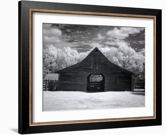 Barn, Dothan, Alabama-Carol Highsmith-Framed Art Print